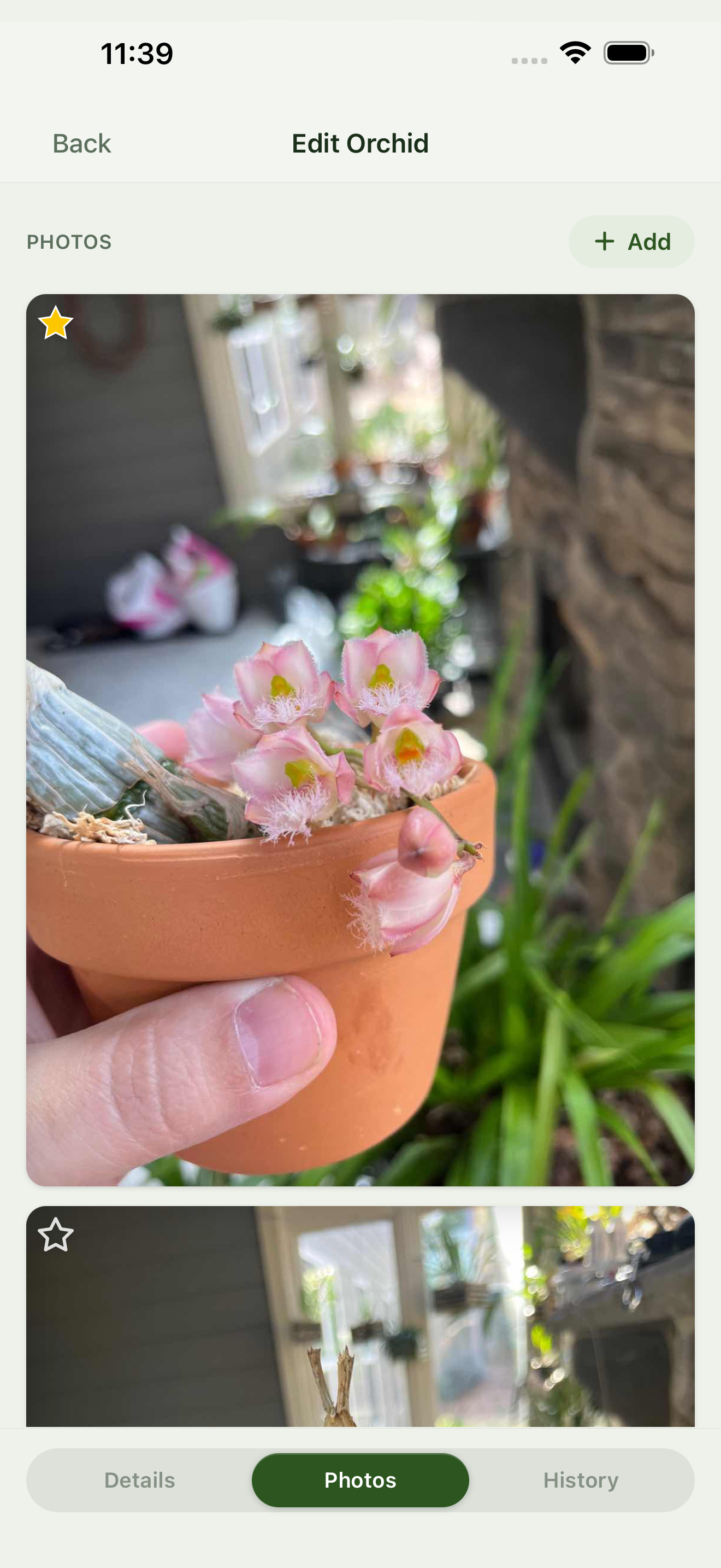 Orchidarium collection view screen